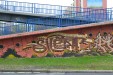 dsc_4616.jpg